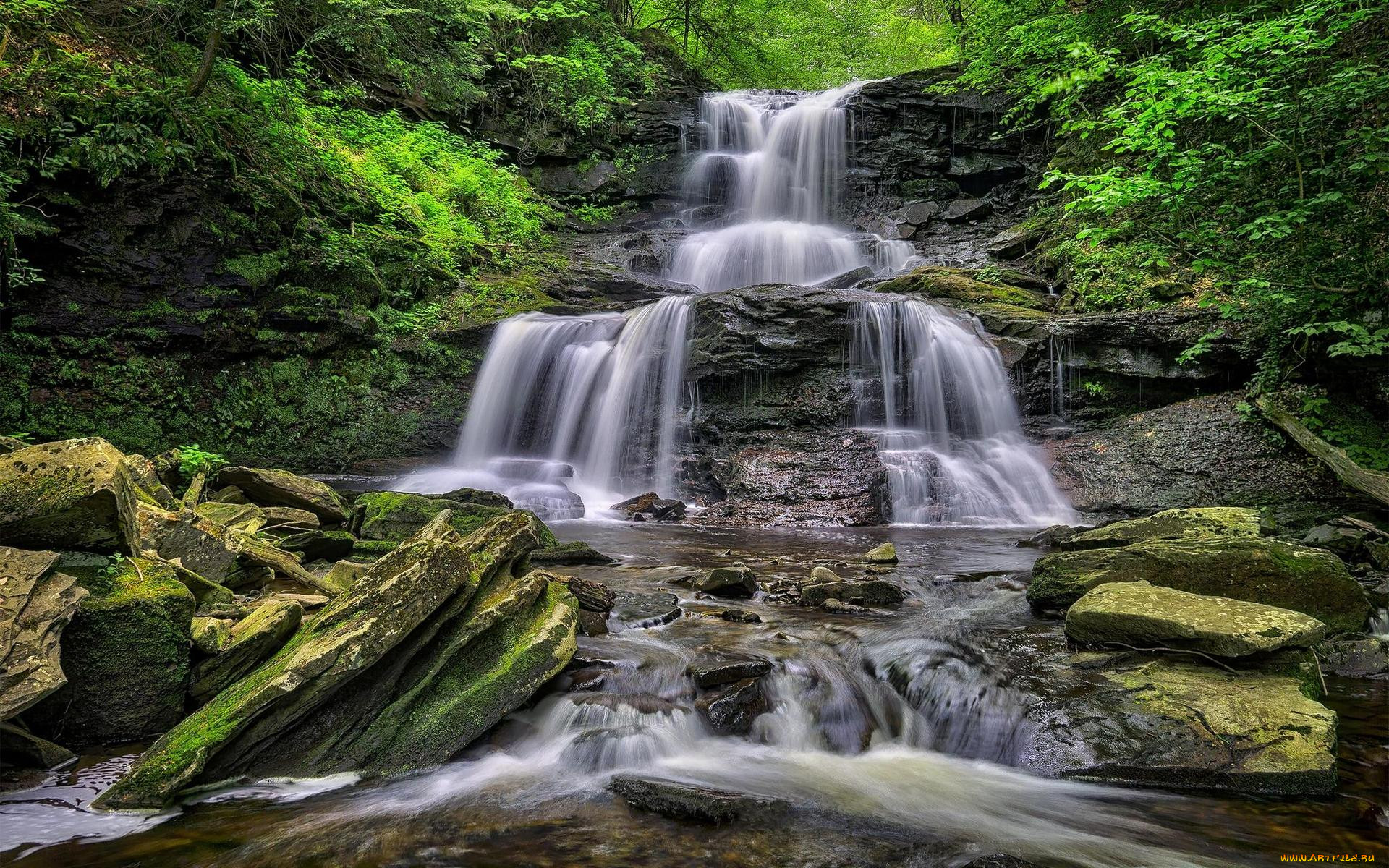 , , ricketts, glen, state, park, , , , pennsylvania